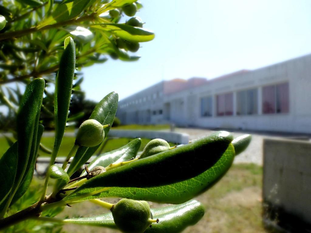 Hi Almograve - Pousada De Juventude Exterior photo